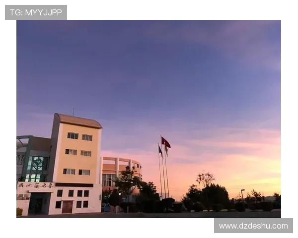 与王丽畅谈她的篮球生涯与成长历程的精彩故事