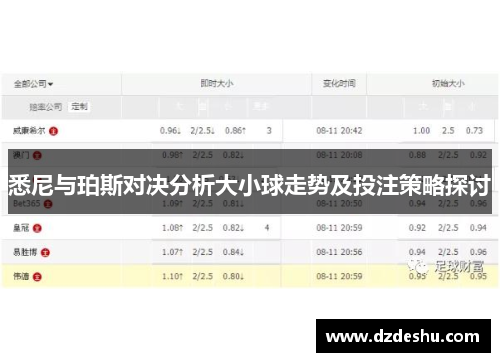 悉尼与珀斯对决分析大小球走势及投注策略探讨